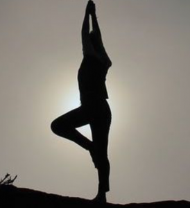 Lire la suite à propos de l’article Vinyasa Yoga tous niveaux chaque mercredi matin