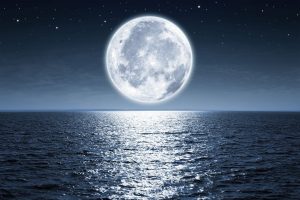 Lire la suite à propos de l’article Yoga de Pleine Lune à Cap d’Ail le 19 Novembre