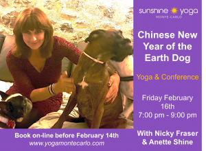 Read more about the article Come and celebrate the Year of the Dog at Sunshine Yoga on February 16th