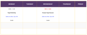 Read more about the article New Sunshine Yoga Summer schedule June-July 2024